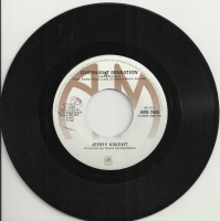 Jerry Knight - Overnight Sensation           (Single)