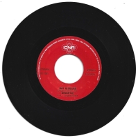 Dingetje - Houtochdiekop (Single)