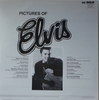 Elvis Presley - Pictures Of Elvis          (LP)