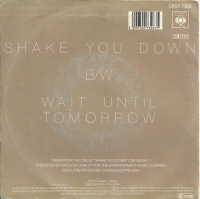 Gregory Abbott - Shake You Down     (Single)