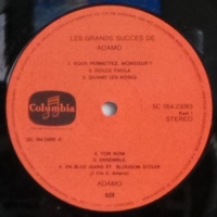 Adamo - Les Grands Succes De Adamo Vol:2   (LP)
