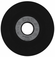 Rick Astley - Never Gonna Give You Up   (Single)