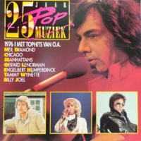 25 Jaar Popmuziek - 1976      (Verzamel LP)
