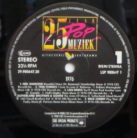 25 Jaar Popmuziek - 1976      (LP)