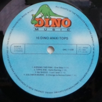 16 Dino Maxi Tops