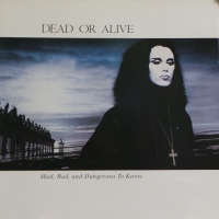 Dead Or Alive - Mad, Bad And Dangerous To Know  (LP)