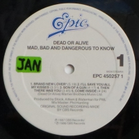 Dead Or Alive - Mad, Bad And Dangerous To Know  (LP)
