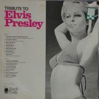 Tribute To Elvis Presley                  (LP)