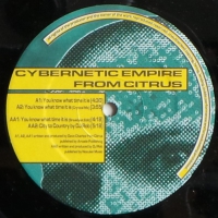 Cybernetic Empire - You Know What Time It Is    (Maxi Single)