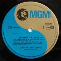 Donny & Marie Osmond - I'm Leaving It All Up To You