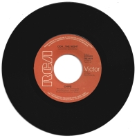 Chips - You Name It.......I'll Do It (Single)