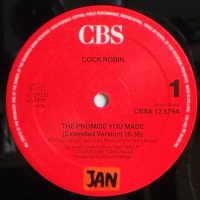 Cock Robin - The Promise You Made    (MaxiSingle)