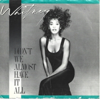 Whitney Houston - Didn't We Almost Have It All         (Single)