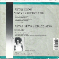 Whitney Houston - Didn't We Almost Have It All         (Single)