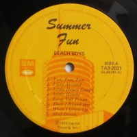 The Beach Boys - Summer Fun    (LP)