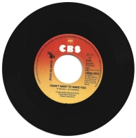 Julio Iglesias & Willie Nelson - To All The Girls I've Loved Before (Single)