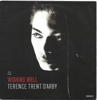 Terence Trent D'Arby - Wishing Well (single)