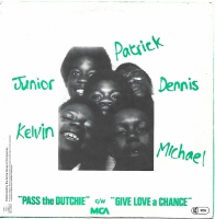Musical Youth - Pass The Dutchie    (Single)