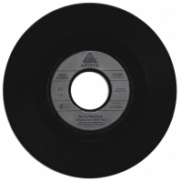 Barry Manilow - I Wanna Do It With You        (Single)