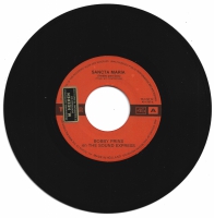 Bobby Prins - Sancta Maria              (Single)
