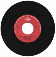 The Belcanto's - Moeder Mag Ik Trouwen Gaan    (Single)