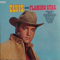 Elvis Presley - Elvis Sings Flaming Star               (LP)