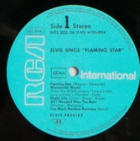 Elvis Presley - Elvis Sings Flaming Star               (LP)