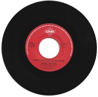 Andre Van Duin - Gatzdeladigee (Single)