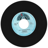 Vanessa - Upside Down (Single)