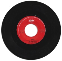 Willem Duyn - Wat 'n Rare Man (single)