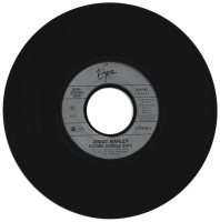 Ziggy Marley And The Melody Makers - Kozmik (Single)