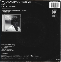 Piet Veerman - Whenever You Need Me (Single)