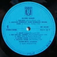 Glenn Metz - Alone Again (LP)