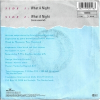 Dolly Dots - What A Night (Single)