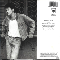 Paul Young - Wonderland (Single)