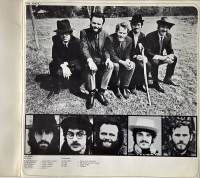 The Beach Boys - The Definite Album (LP)