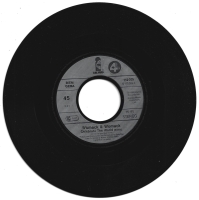 Womack & Womack - Celebrate The World (Single)