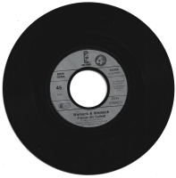 Womack & Womack - Celebrate The World (Single)