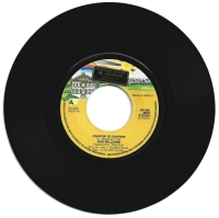 Gus Williams - Canyon To Canyon (Single)