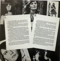 Sandie Shaw - The Sandie Shaw File (2x LP)