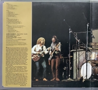 Creedence Clearwater Revival - Chronicle (D.LP)
