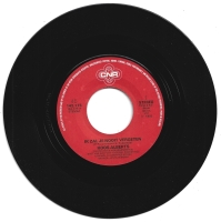Koos Alberts - Ik Zal je Nooit Vergeten (Single)