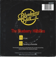 The Blueberry Hillbillies - In Love (Single)