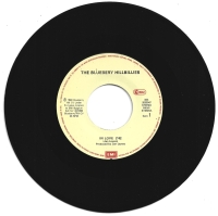 The Blueberry Hillbillies - In Love (Single)