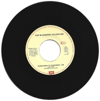 The Blueberry Hillbillies - In Love (Single)