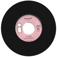 Cat Stevens - Lady D'Arbanville (Single)