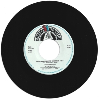 Vader Abraham - Brinkman (Single)