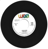 Stevie Nicks - Stand Back (Single)