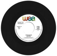 Stevie Nicks - Stand Back (Single)