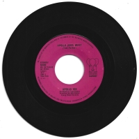 Apollo 100 - Besame Mucho (Single)